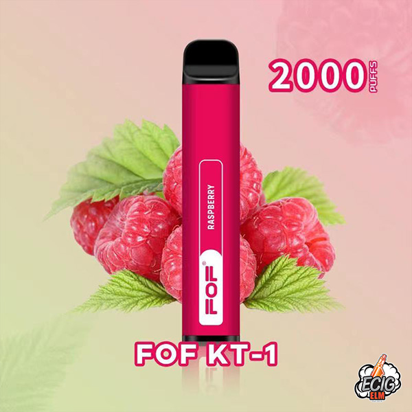 FOF KT-1 Raspberry